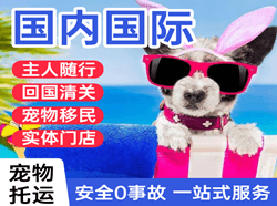 三义机场邮寄国际宠物托运 【国